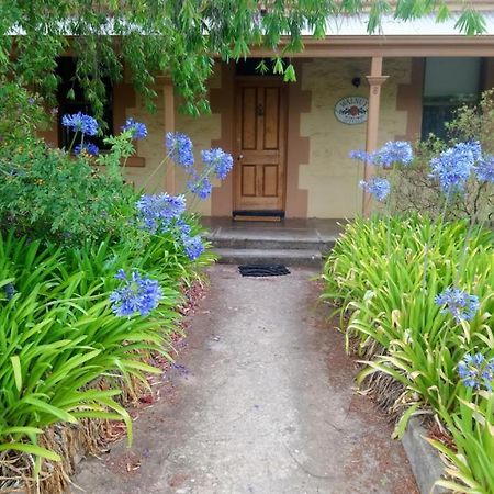 Walnut Cottage Angaston Экстерьер фото